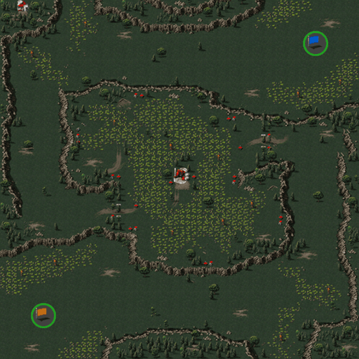 CCLP TM TK hidden cultivation