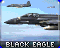Black Eagle