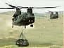 Chinook