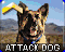 Wachhund