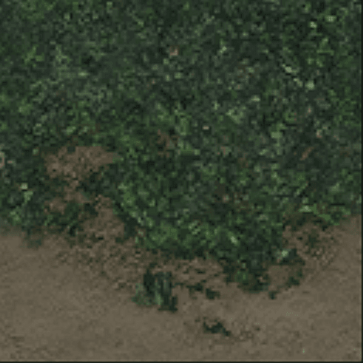 TD many resources