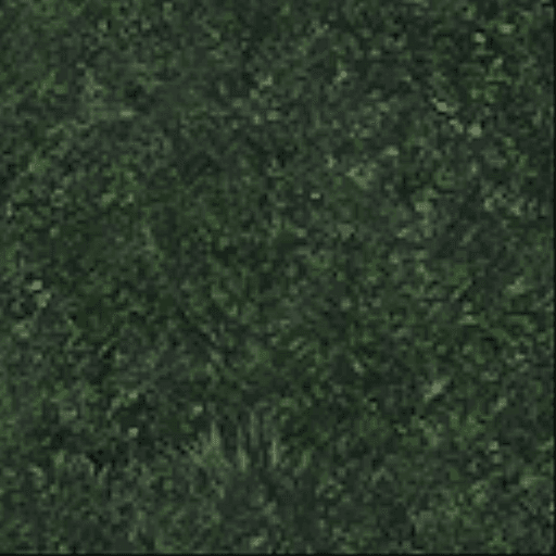 Test1