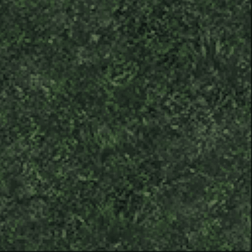 RandoMap1