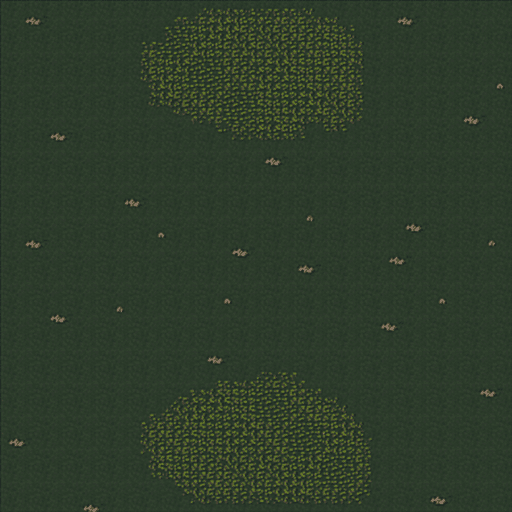 Quiet Forest