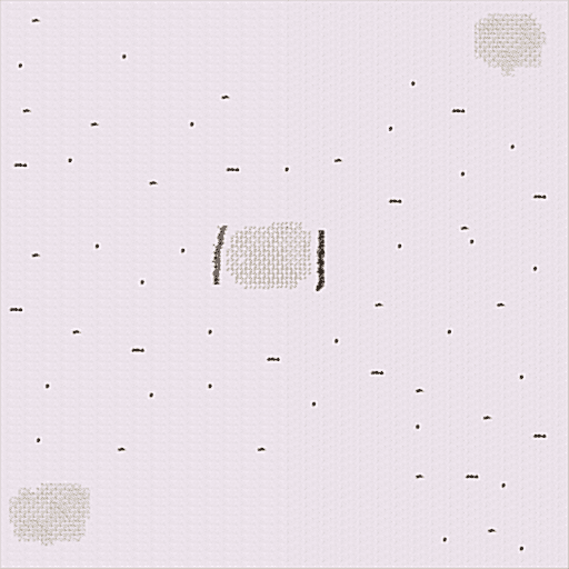 Snow Field