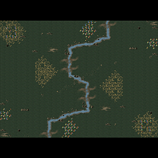 Forest Rush (2 Players TE)