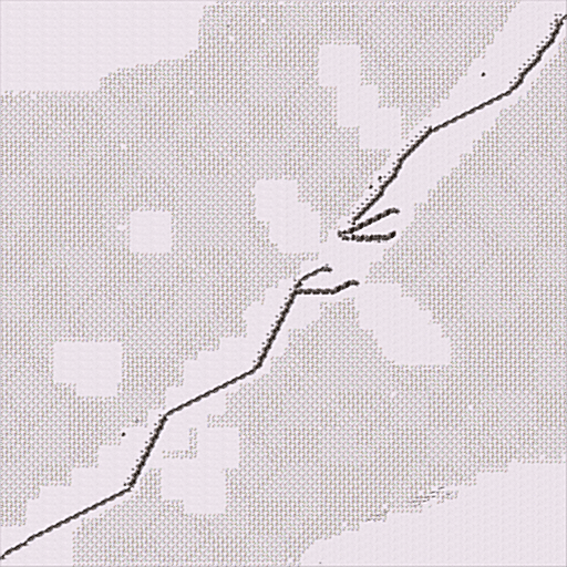 White Dawn