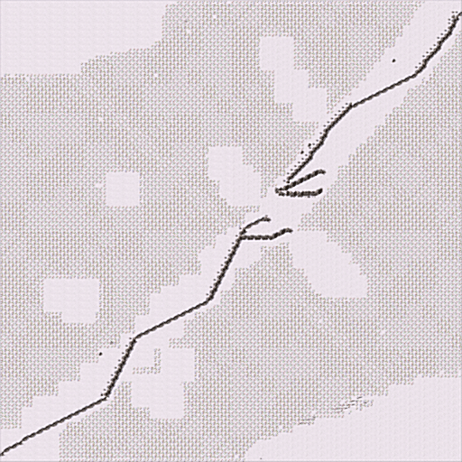 White Dawn