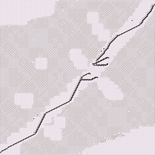 White Dawn