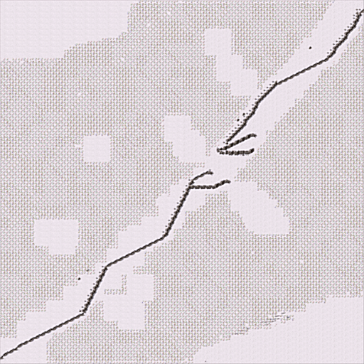 White Dawn