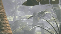 Raid On Lost Jungle