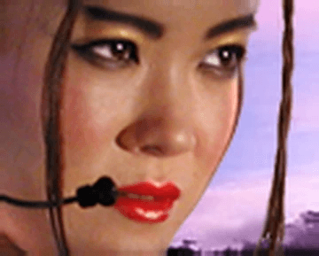 Lt. Lin Zhong, C&C Generals Chinese EVA Voice mod