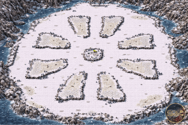 CCLP TM BETA Rabbithole S10