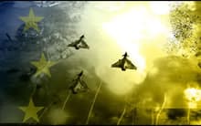 Europa als vierte Fraktion in Generals