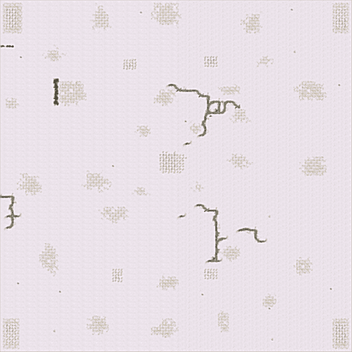 Winter War