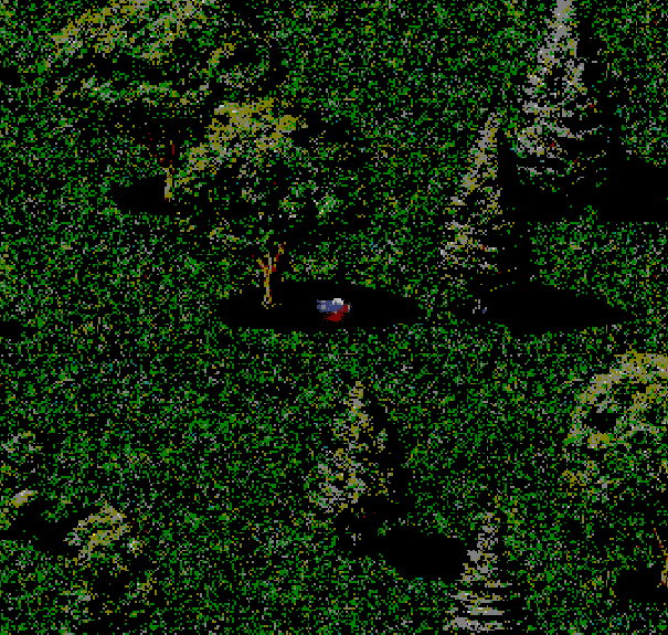 The Forest Of Death