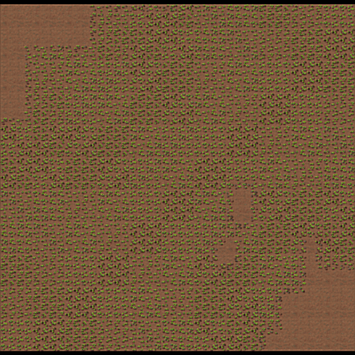 The Lost Desert