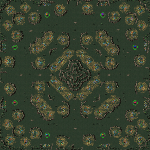 Candyland Flower